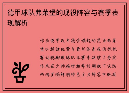 德甲球队弗莱堡的现役阵容与赛季表现解析