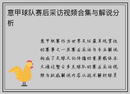 意甲球队赛后采访视频合集与解说分析